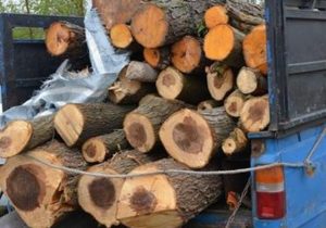کشف ۲ تن چوب قاچاق در قیروکارزین
