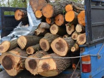 کشف ۲ تن چوب قاچاق در قیروکارزین