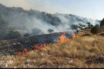 مهار آتش در ارتفاعات روستای هورز قیروکارزین