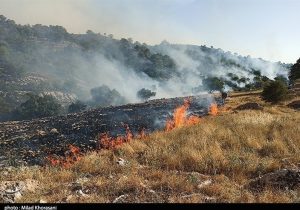 مهار آتش در ارتفاعات روستای هورز قیروکارزین