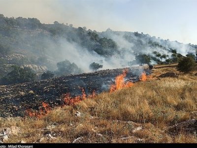 مهار آتش در ارتفاعات روستای هورز قیروکارزین