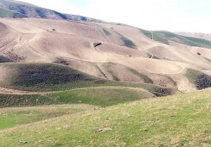 صدور سند تک برگ برای ۴۰ هزار هکتار از اراضی ملی قیروکارزین