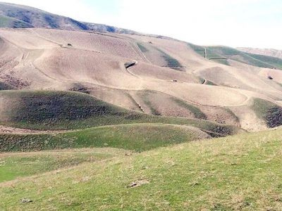 صدور سند تک برگ برای ۴۰ هزار هکتار از اراضی ملی قیروکارزین