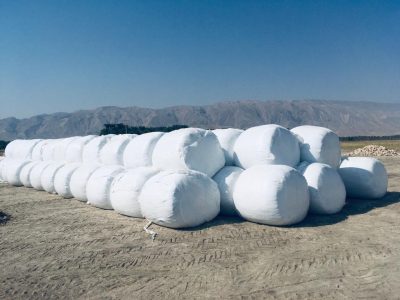 راه اندازی ایستگاه بسته بندی ذرت علوفه‌ای در قیروکارزین