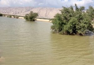 آبگیری طرح های تغذیه مصنوعی در قیروکارزین