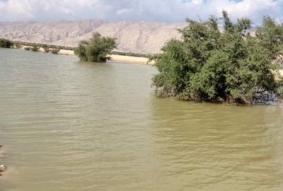 آبگیری طرح های تغذیه مصنوعی در قیروکارزین