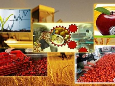 صادرات ۷۰۰ تن محصولات کشاورزی قیروکارزین