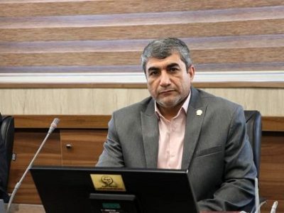 توزیع ۴ هزار تن ذرت دانه‌ای برای گاوداری