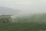 مبارزه با علف‌های هرز در۴۶۰۶ هکتار مزارع گندم در شهرستان قیروکارزین