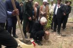 توزيع و كاشت ٤٥٠٠نهال رايگان در هفته منابع طبيعي در شهرستان قيروكارزين