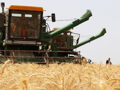 پرداخت مطالبات گندم کاران در فارس