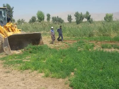 تخریب ۲۳۰ هکتار از کشتزار‌های آبیاری با آب غیر بهداشتی