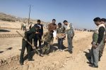 ٥ هكتار از اراضي ملي  شهرستان قيروكارزين زير كشت گونه هاي  جنگلي